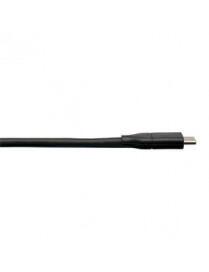 6FT USB C TO DISPLAYPORT ADAPT CABLE USB 3.1 LOCKING 4K USB-C |BoxandBuy.com